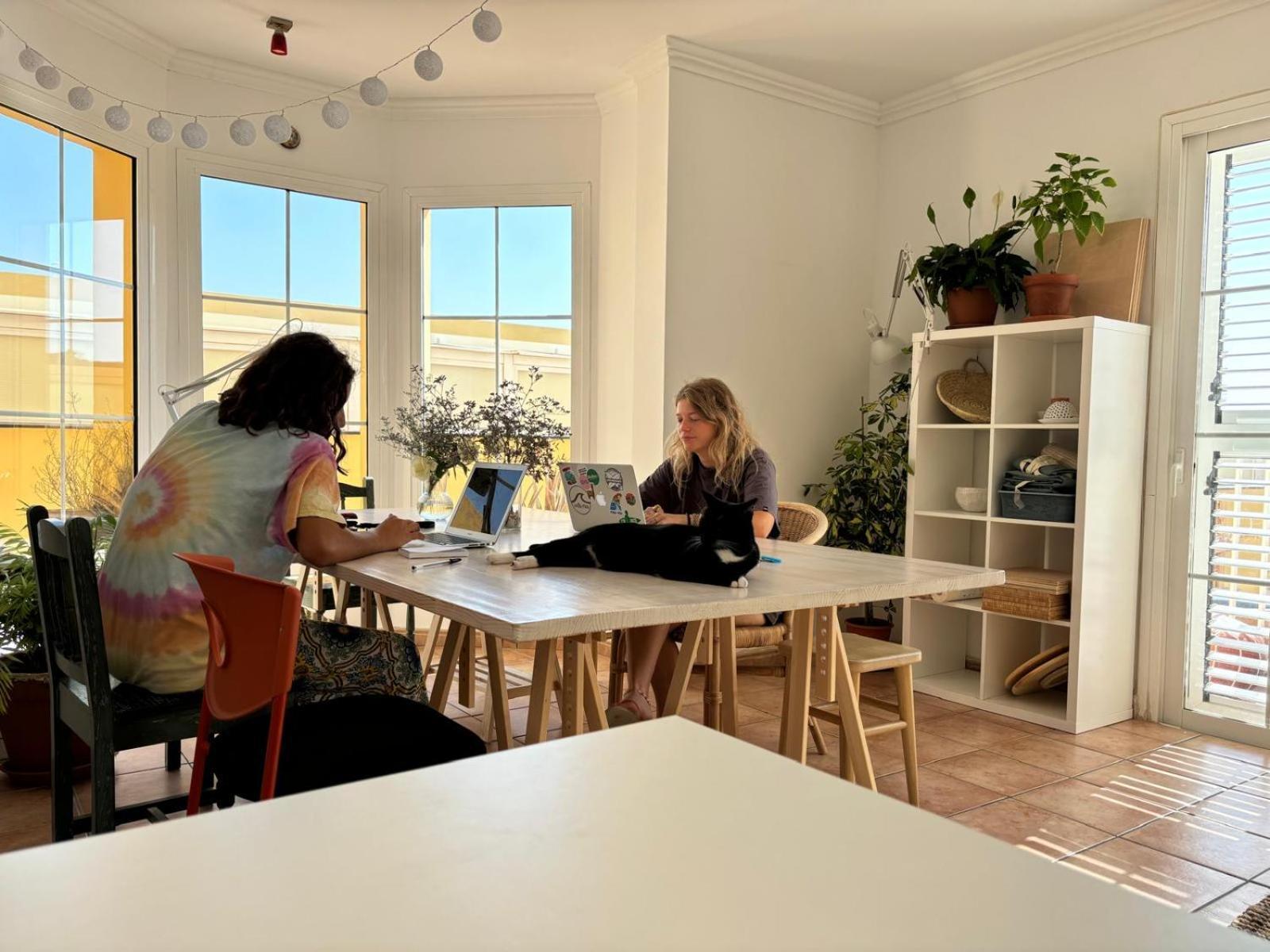 Medano Beach Coliving El Medano  Luaran gambar